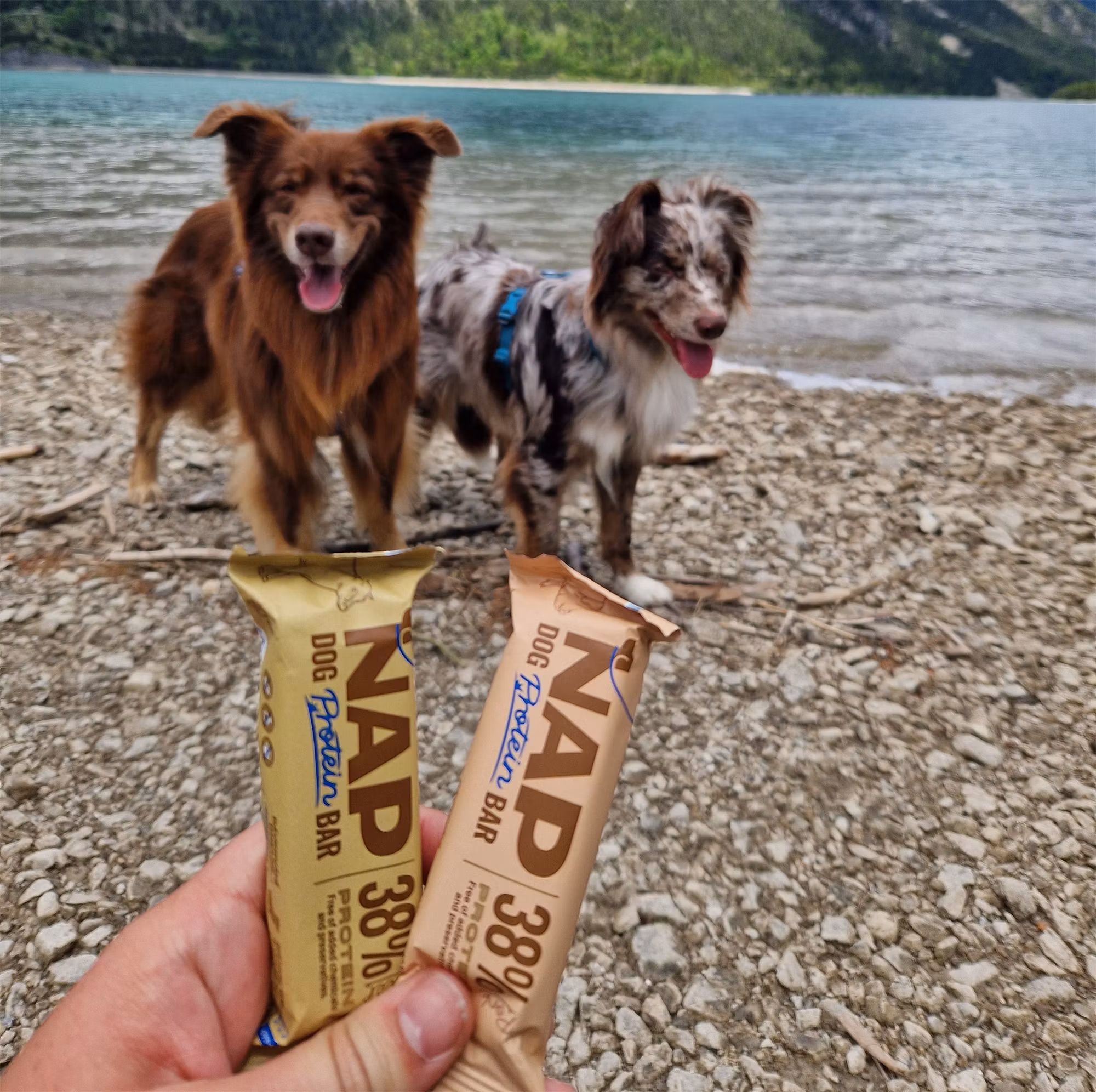 NAP Proteinbar Recovery 50g