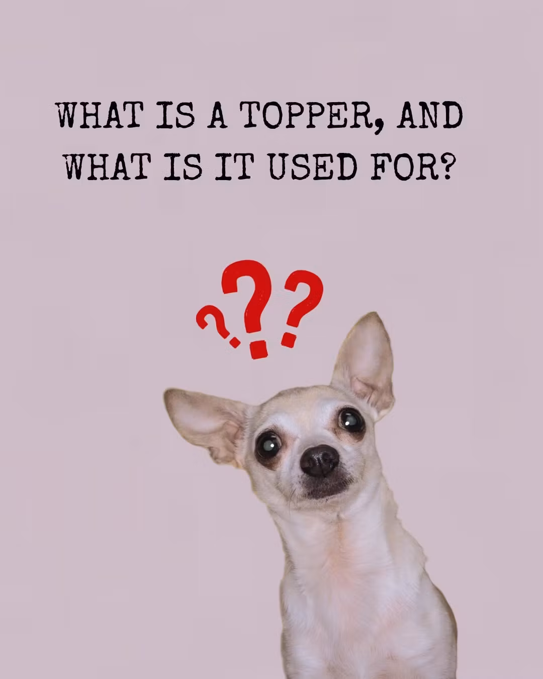 Mr. Bones Topper Struts 100g