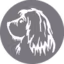 Mikki Doodle Comb - Kam