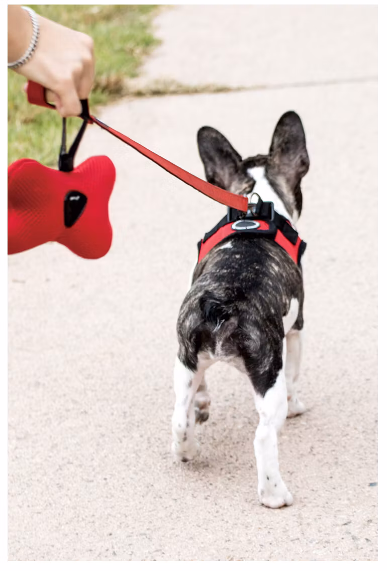 Puppia Two Tone Lead Rød / Red Kobbel
