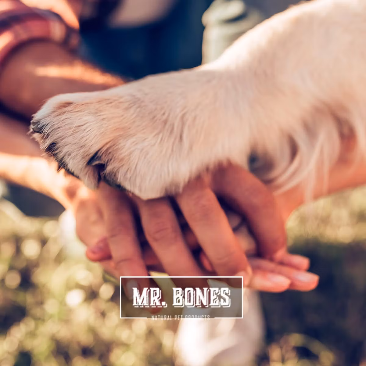 Mr. Bones Dry BARF Villsau