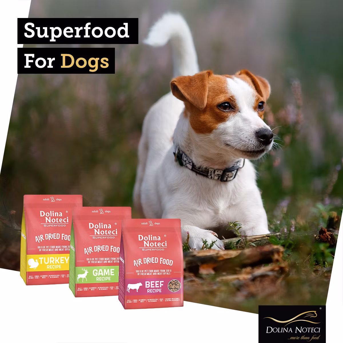 Dolina Noteci Superfood Gås