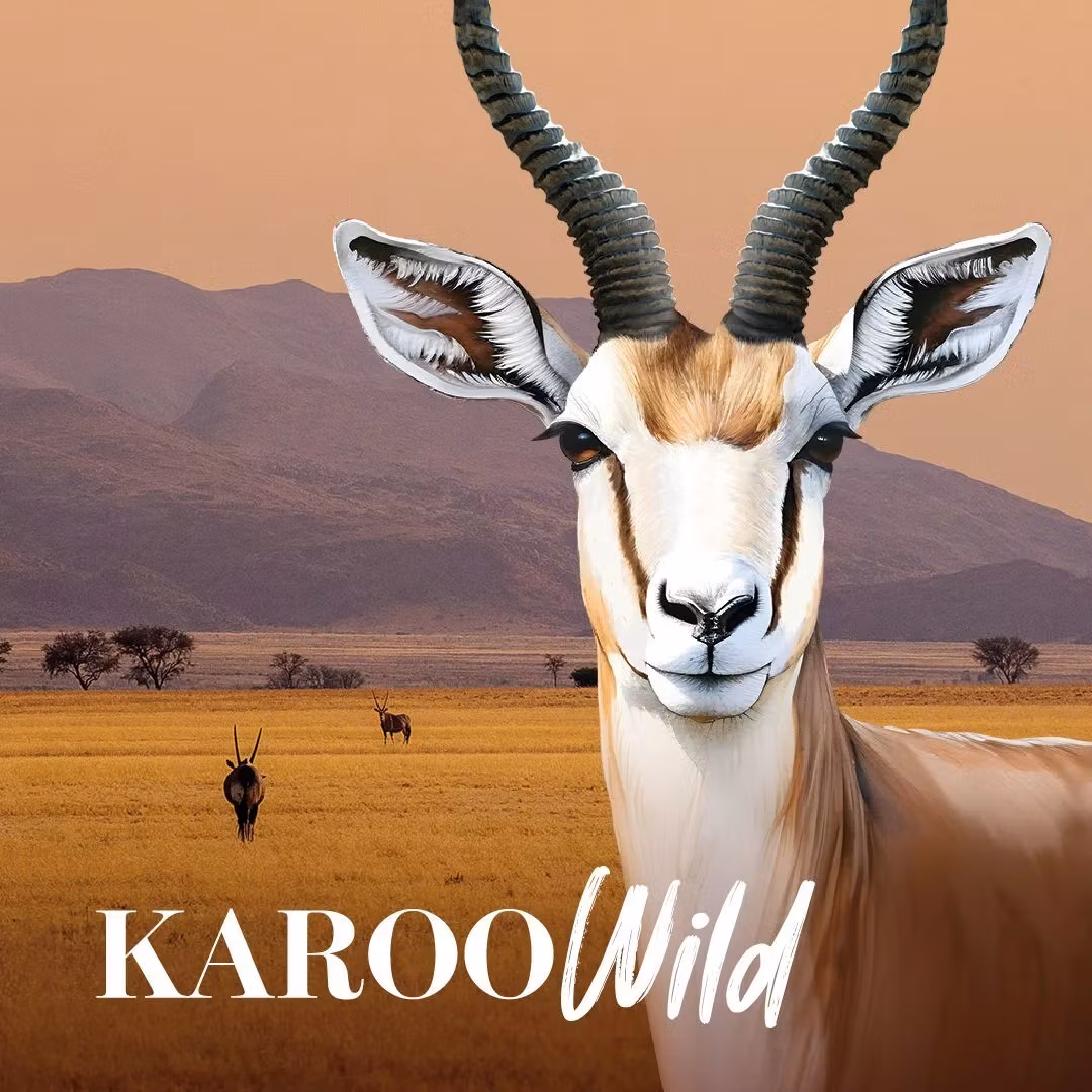 KAROO Wild - Trail Bites Antilope & Oregano 227g