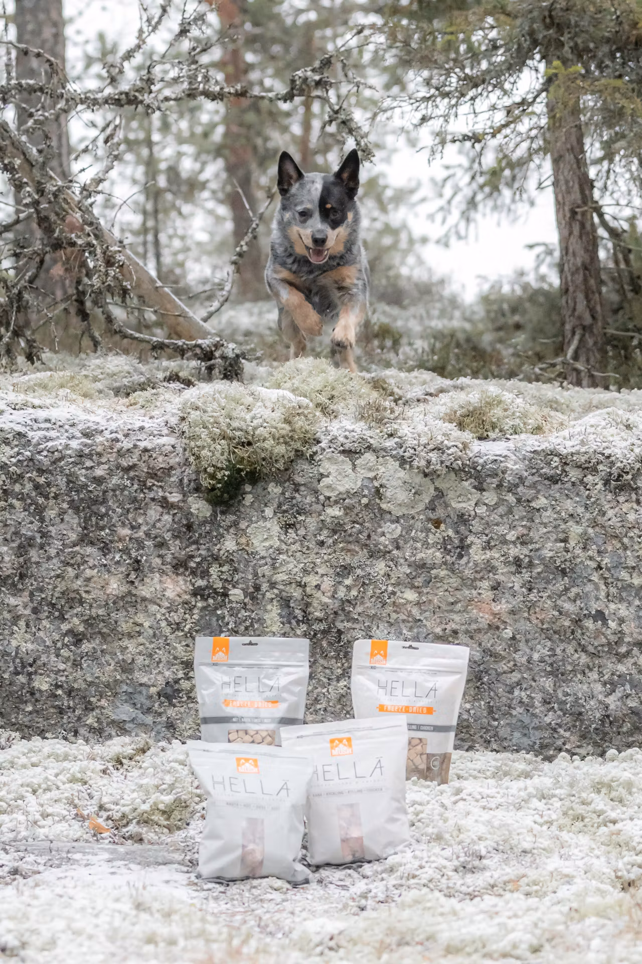 MUSH Sensitive Okse 3 kg (Storfe/Nôt)
