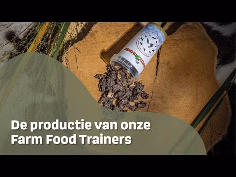 Farm Food Trainer Beef Heart 90g