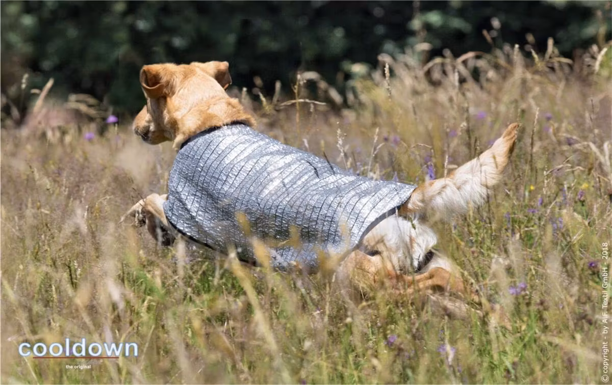 Cooldown Cape Silver - passiv varmebeskyttelse