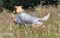 Cooldown Cape Silver - passiv varmebeskyttelse