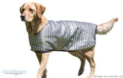 Cooldown Cape Silver - passiv varmebeskyttelse
