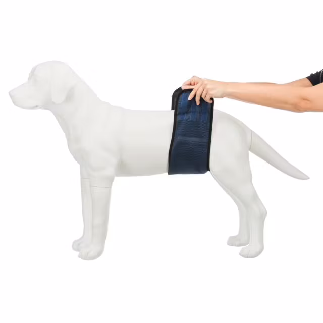 Trixie Magebelte Til Hannhund S/M 37-45cm Mørkeblå