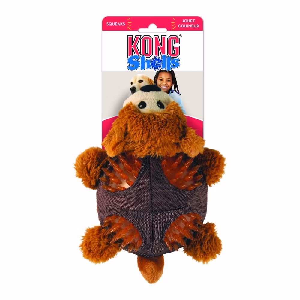 KONG Shells Bear S