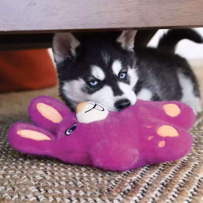 KONG Snuzzles Bunny M