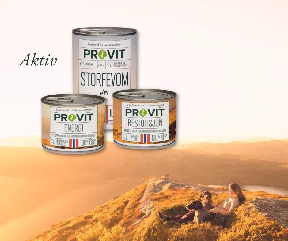 Provit Restitusjon 185g Boks