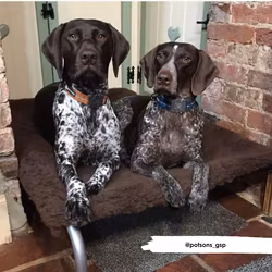 HiK9 M Cosy Sleeve M 30%