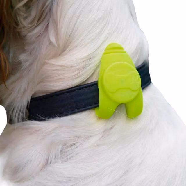 Hundelykt Flashlight Fluo LED  8x3cm - TILBUD!