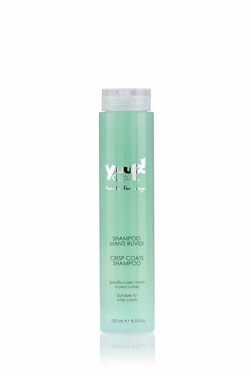 Yuup! Crisp Coat Shampoo 250ml