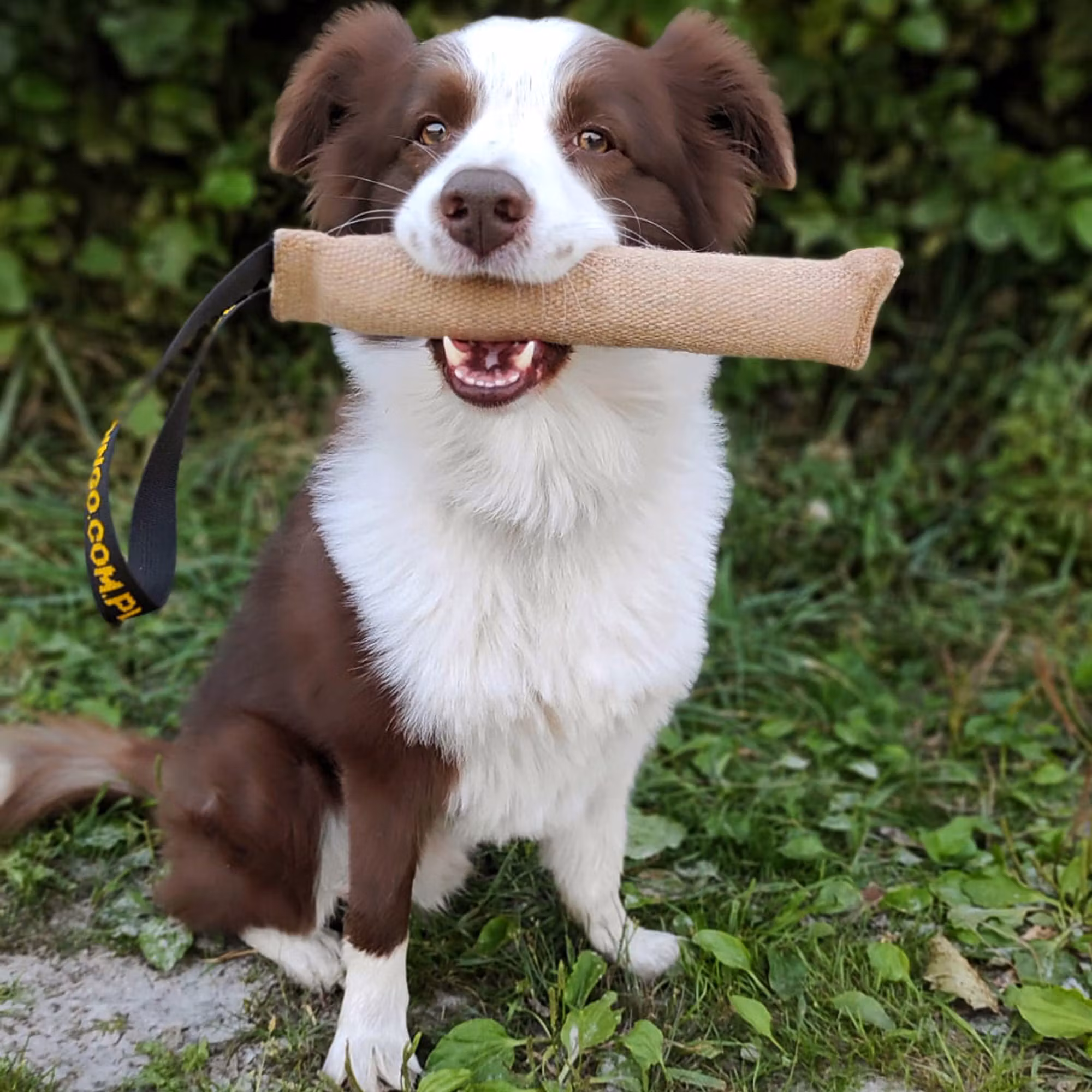 Dingo Bitepølse jute 6x28cm