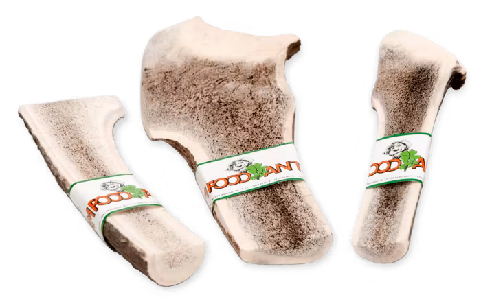 Farm Food Antlers Hjorte Gevir Easy