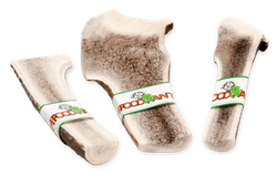 Farm Food Antlers Hjorte Gevir Easy