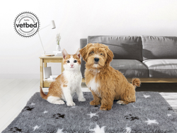 VetBed 100x150cm Brun Stars and Paws (Grønn bakside), Petlife Original