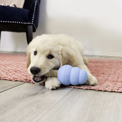 KONG Ziggies Puppy S 198g
