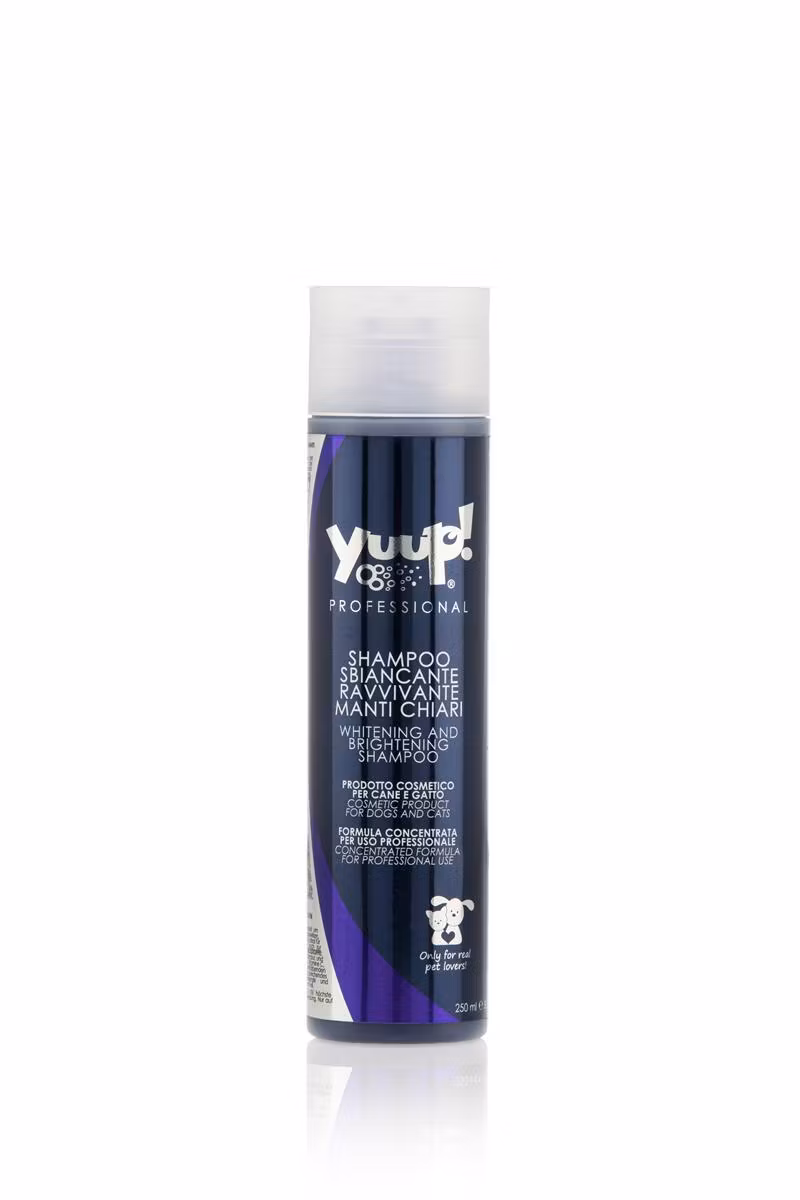 Yuup! Pro whitening and brightening shampoo 250 ML, 1L & 5L
