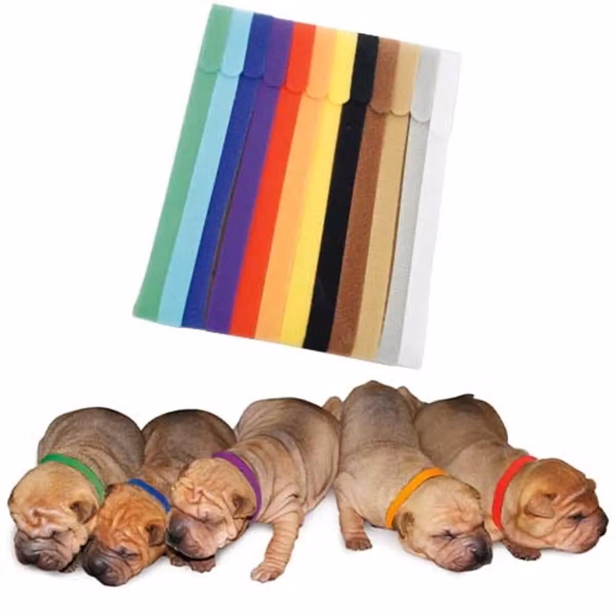 4Pups - Halsbånd til valpekull 12stk