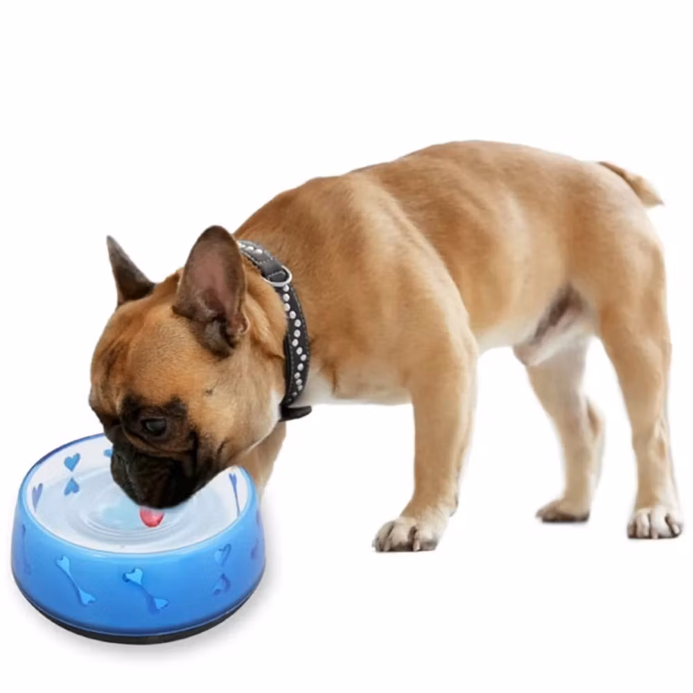 All for paws afp skåler med hjerter og bein