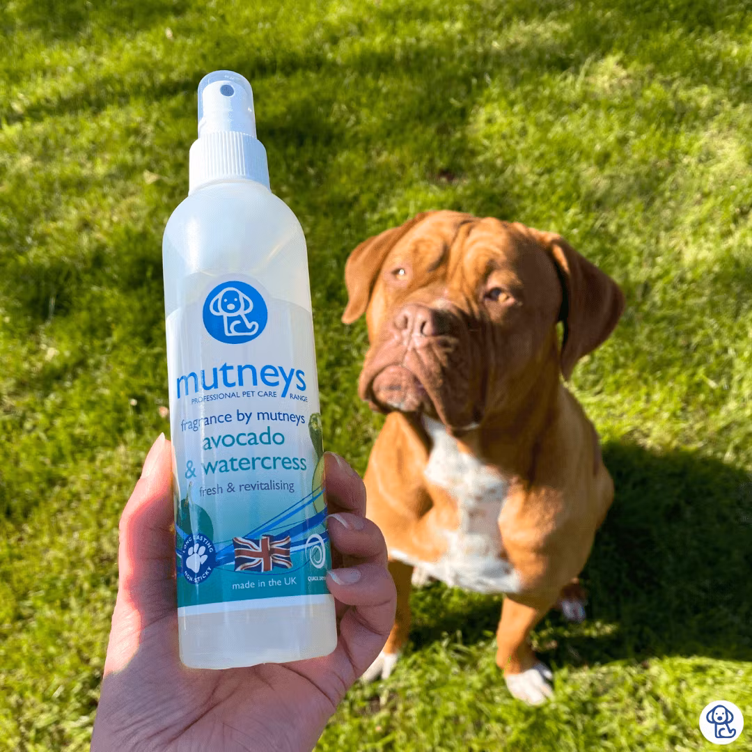 Mutneys Avocado & Watercress Fragrence 50 ml