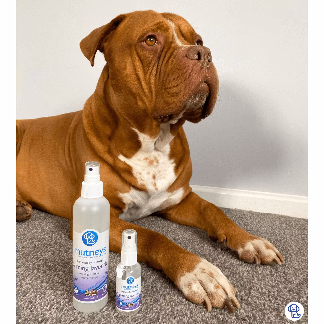 Mutneys Calming Lavendel Fragrence 50 ml
