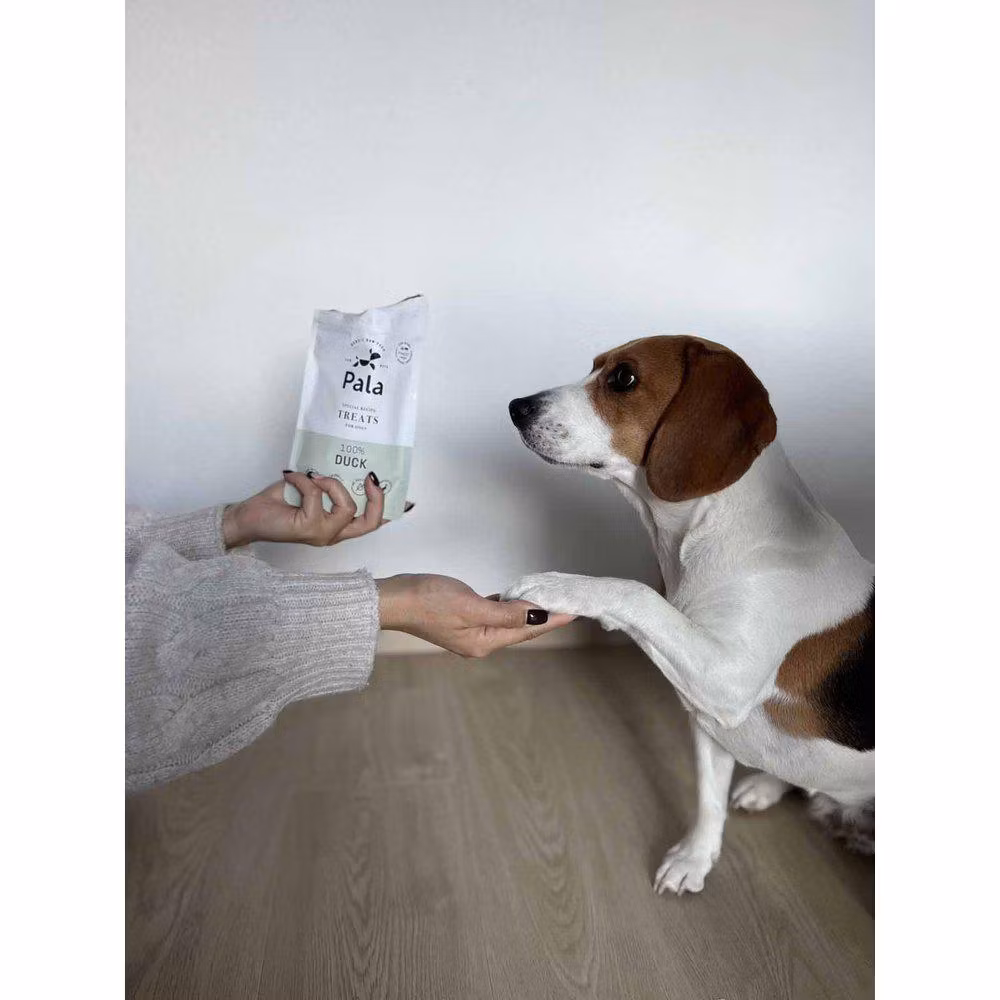 Pala Treats 100% And 100g