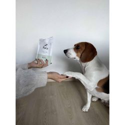 Pala Treats 100% And 100g