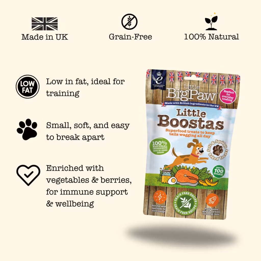 LBP Treat Little Boostas Superfood 90g Salmon