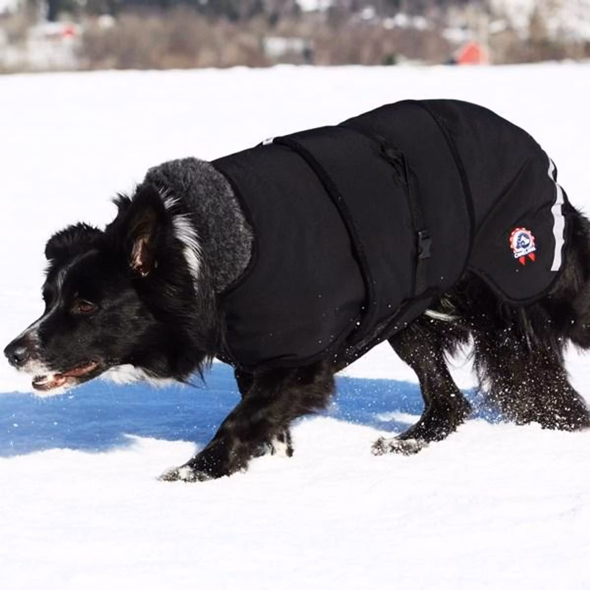 Canelana Thermo sort-100% ull dekken hund softshell ytterstoff - Bestillingsvare!