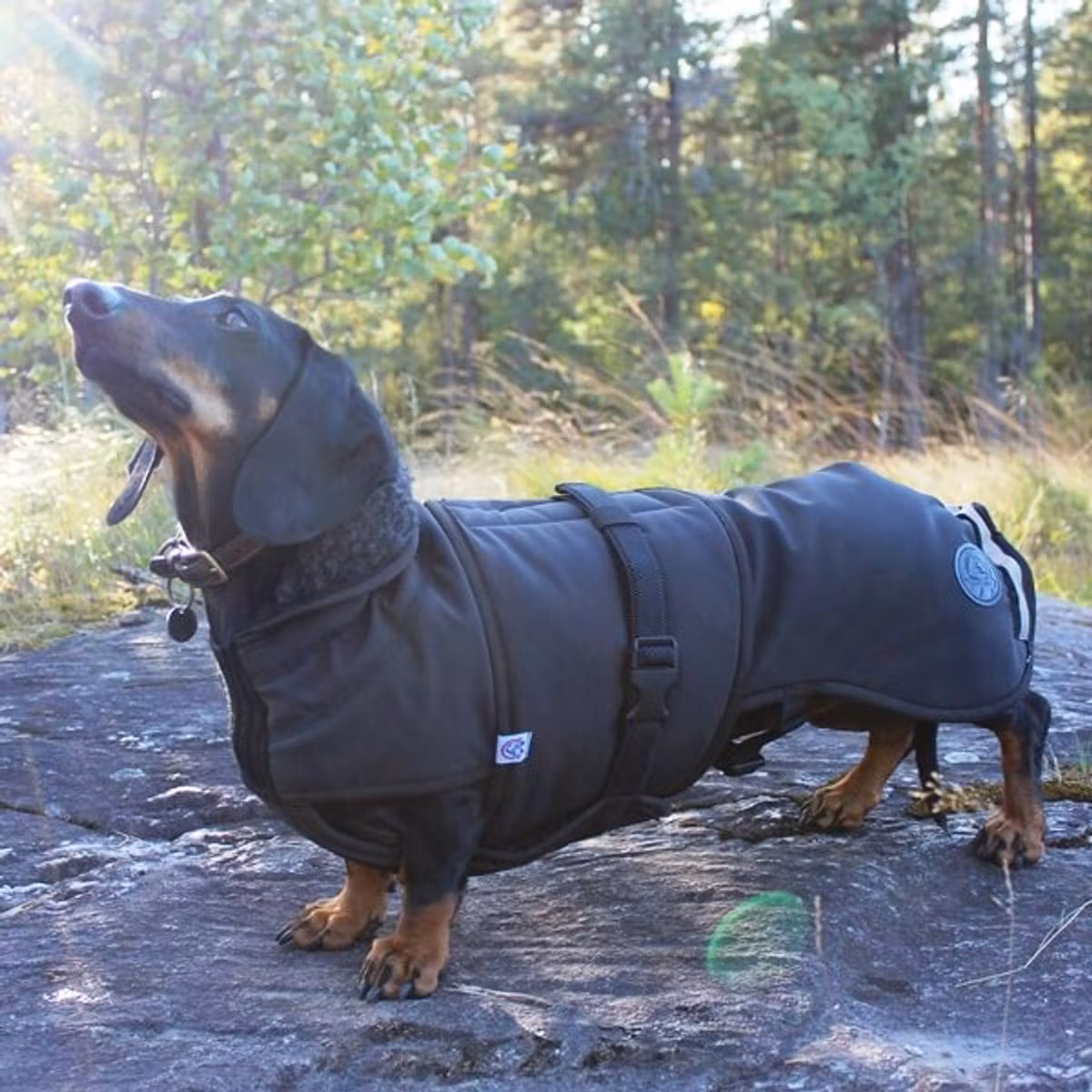 Canelana Thermo sort-100% ull dekken hund softshell ytterstoff - Bestillingsvare!