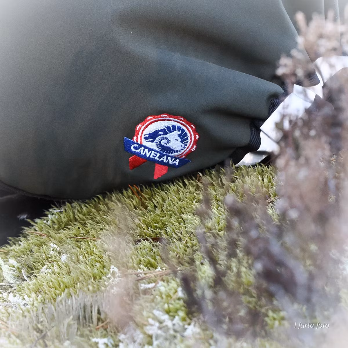 Canelana Thermo grønn-100% ull dekken hund softshell ytterstoff - Bestillingsvare!