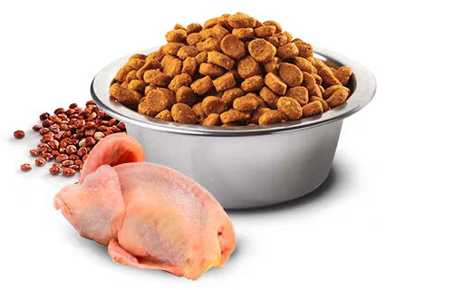 Farmina N&D Dog Quinoa Skin & Coat, Quail & Coconut Adult Mini 2,5 Kg