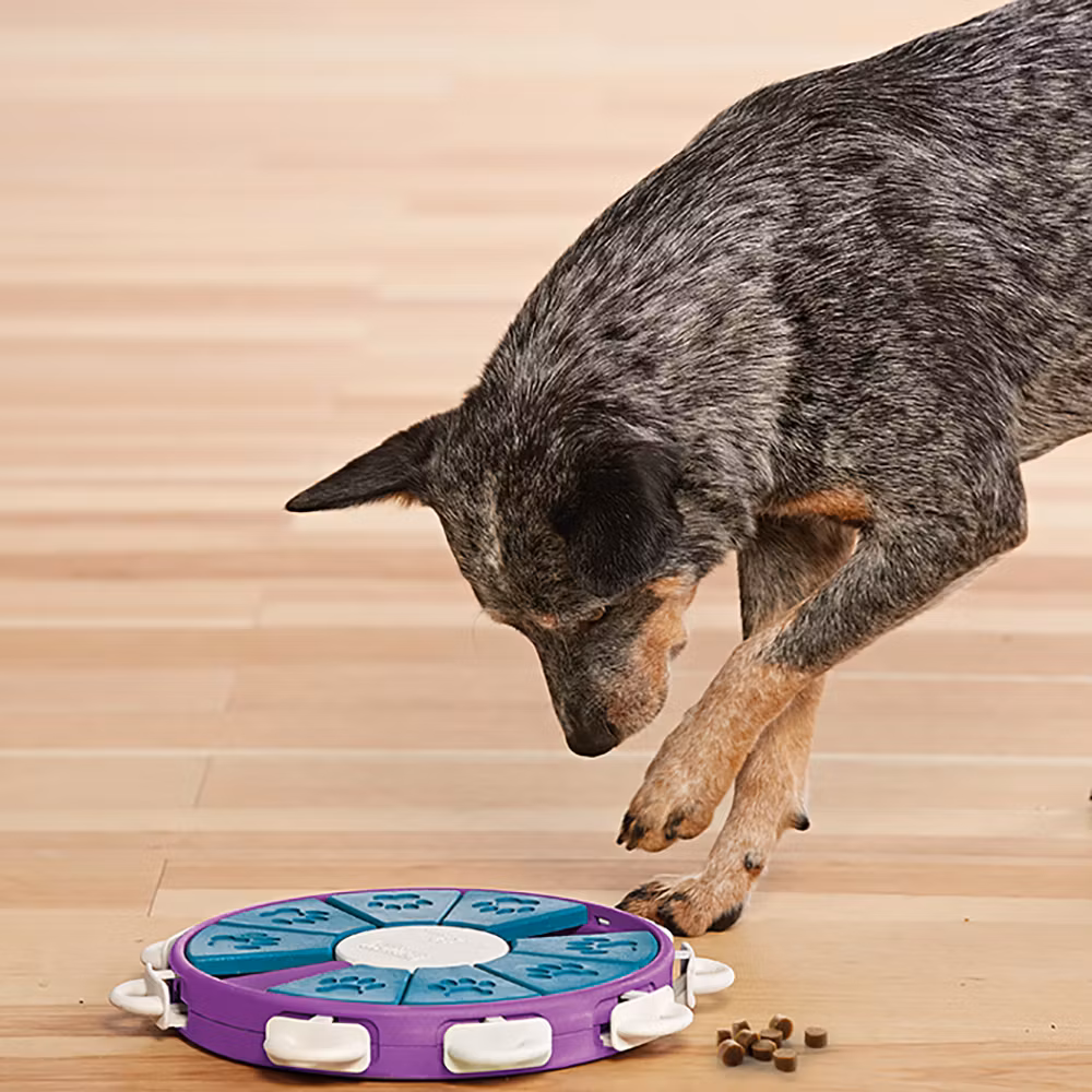 Nina Ottosson Dog Twister Plast