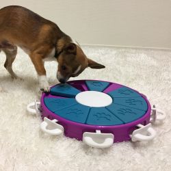 Nina Ottosson Dog Twister Plast
