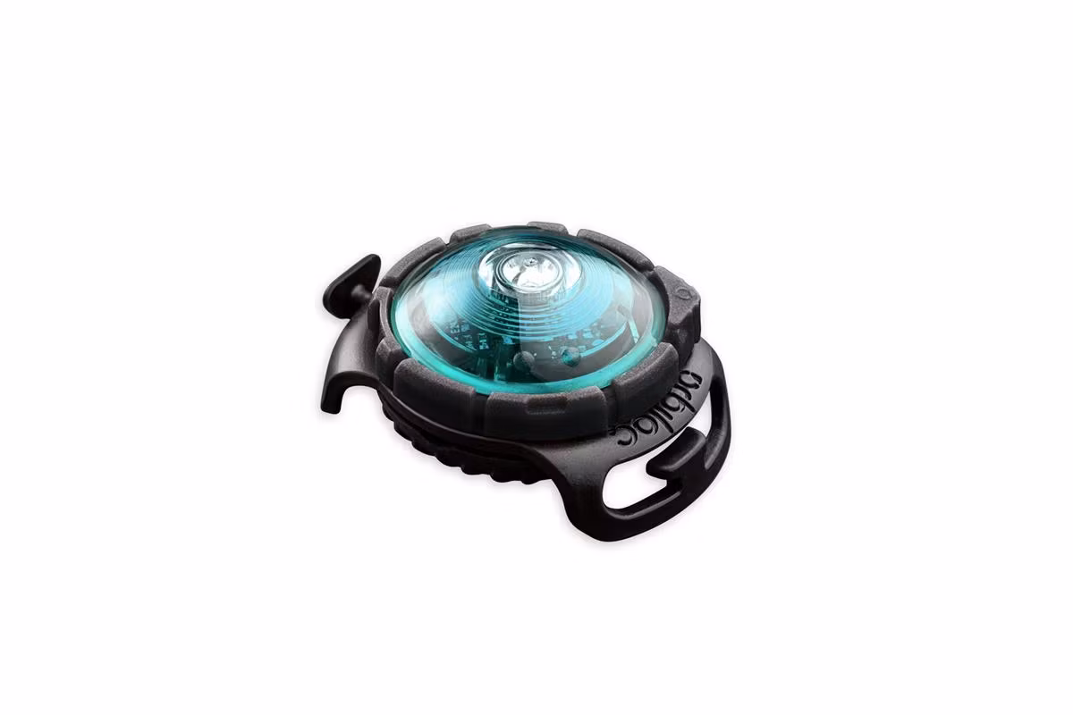 Orbiloc Dog Dual