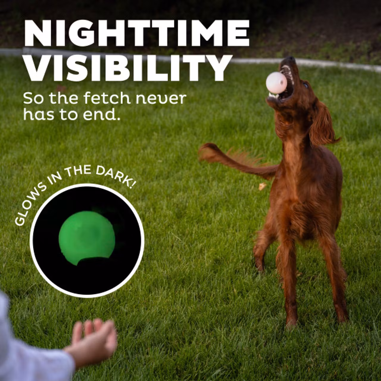 Planet Dog Strobe Ball Hvit med multifarget LED lys