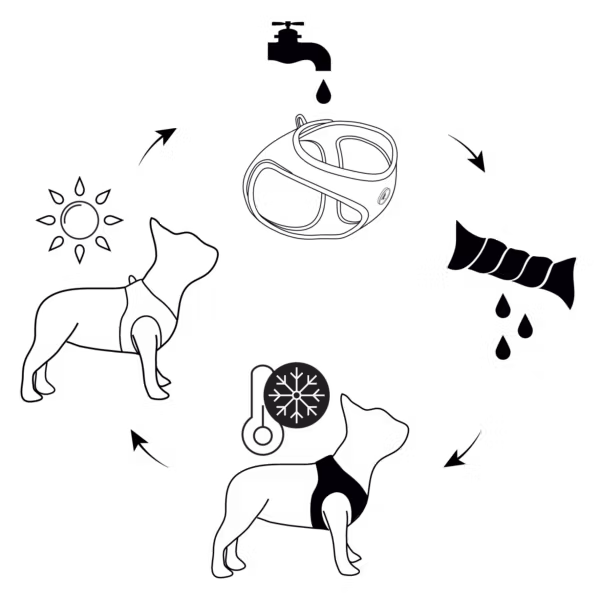 Kyflie Momentum S Sele