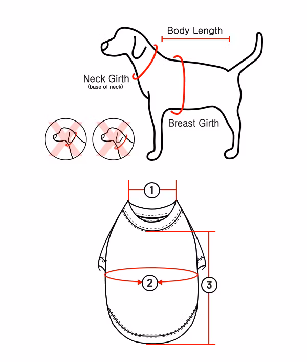 Puppia Donavan Dekken Grønn