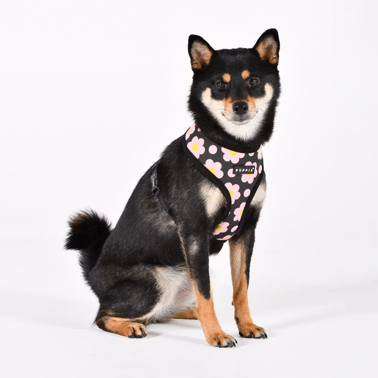 Puppia Bacopas Harness A Sort