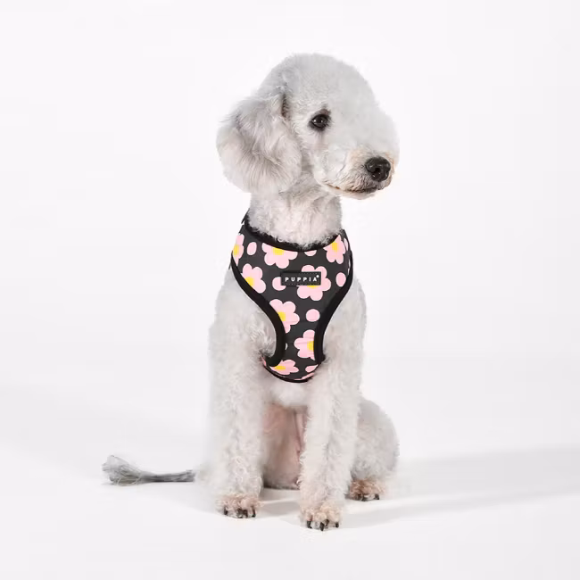 Puppia Bacopas Harness A Sort