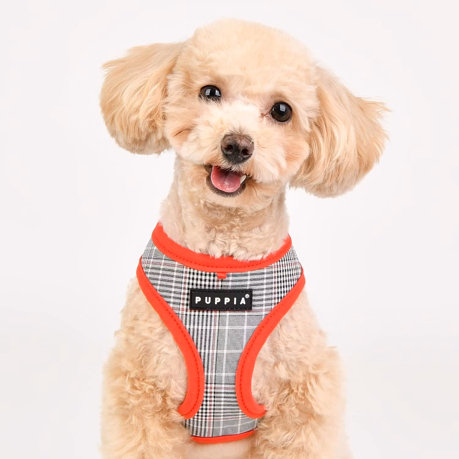 Puppia Blake Harness A rød
