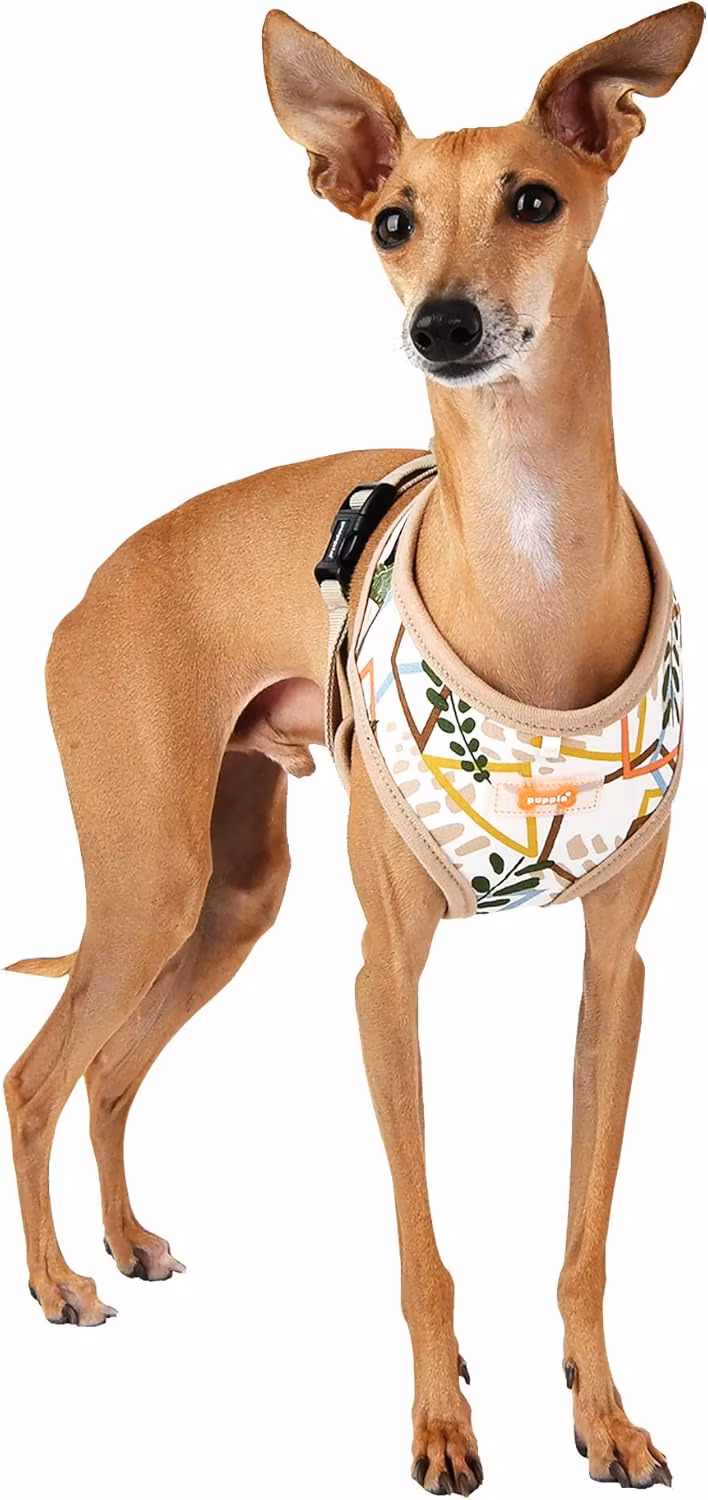 Puppia Botanical Harness A Beige