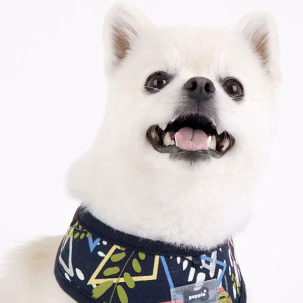 Puppia Botanical Harness A Blå / Navy
