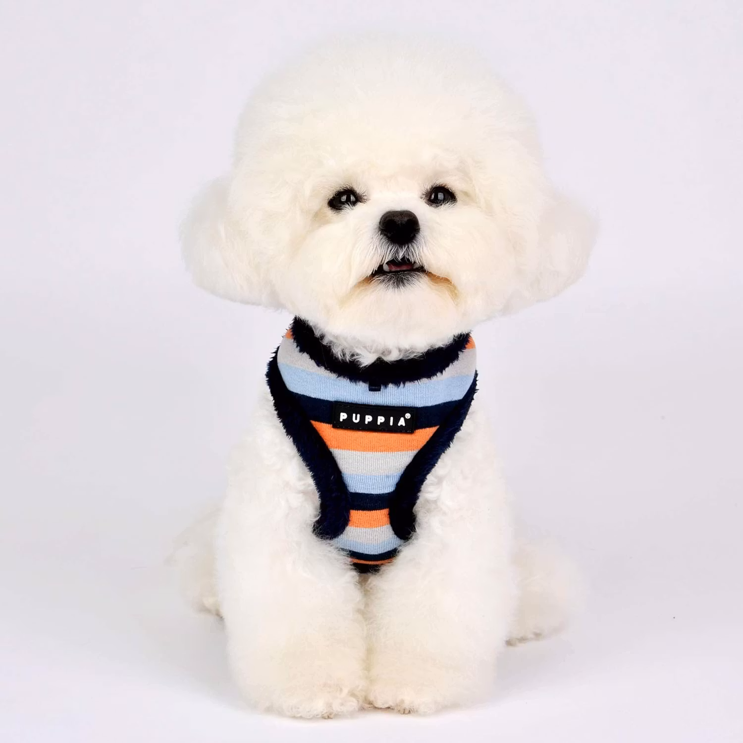 Puppia Bryson Harness A Blå / Navy