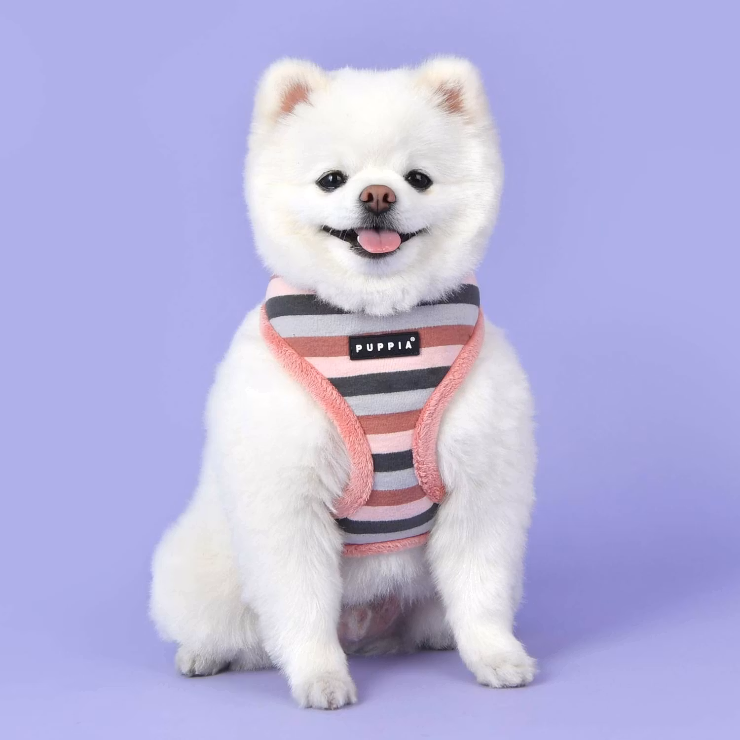 Puppia Bryson Harness A Rosa