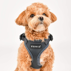 Puppia Ritefit Air Mesh Harness Svart / Black med justering i både nakke og bryst